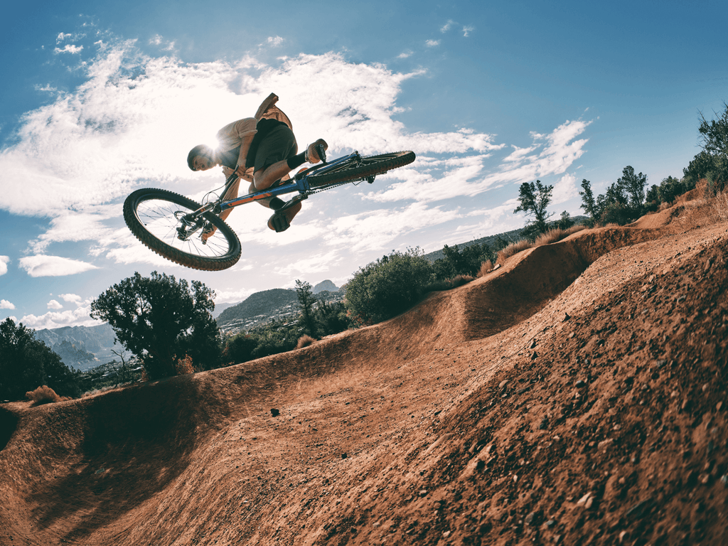 Mongoose Switchback 2 29-inch Hardtail Mountain Bike