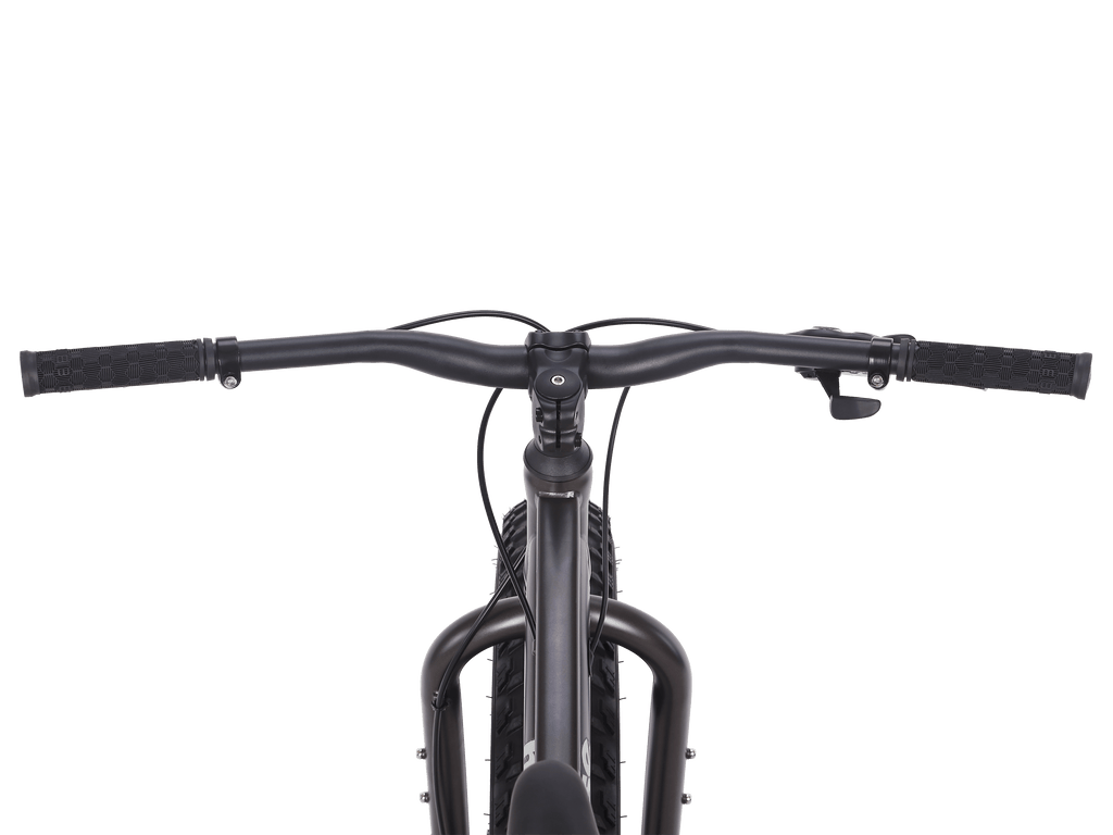 Mongoose Malus 26-inch Fat Tire Mountain Bike