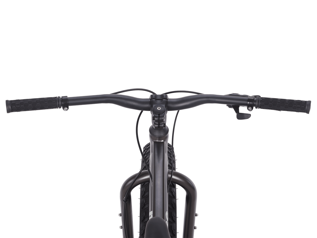 Mongoose Malus 26-inch Fat Tire Mountain Bike