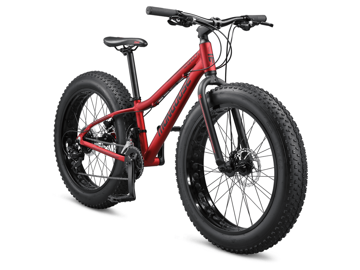 Mongoose Argus Trail 24-inch Kids Fat Tire Mountain Bike