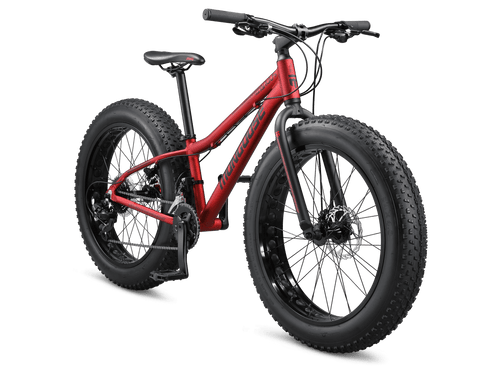 Mongoose Argus Trail 24-inch Kids Fat Tire Mountain Bike