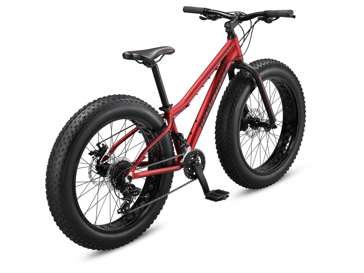 Mongoose Argus Trail 24-inch Kids Fat Tire Mountain Bike