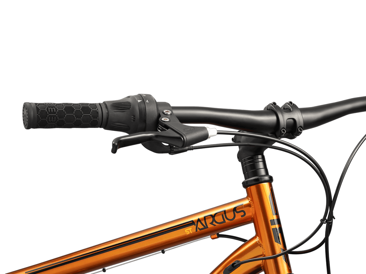 Mongoose Argus ST 26-inch Fat Tire Mountain Bike